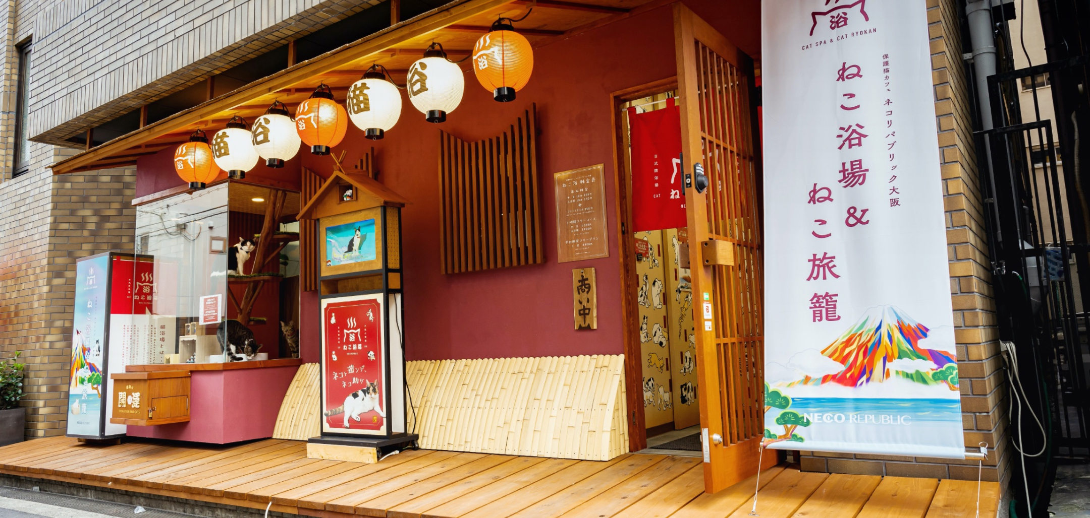nekocafe001